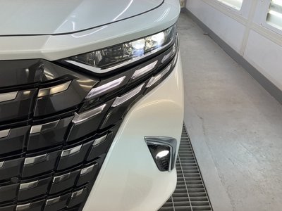 2025 Toyota ALPHARD 缩略图 25