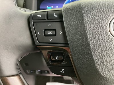 2025 Toyota ALPHARD 缩略图 13