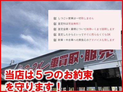 2025 Toyota ALPHARD 缩略图 79
