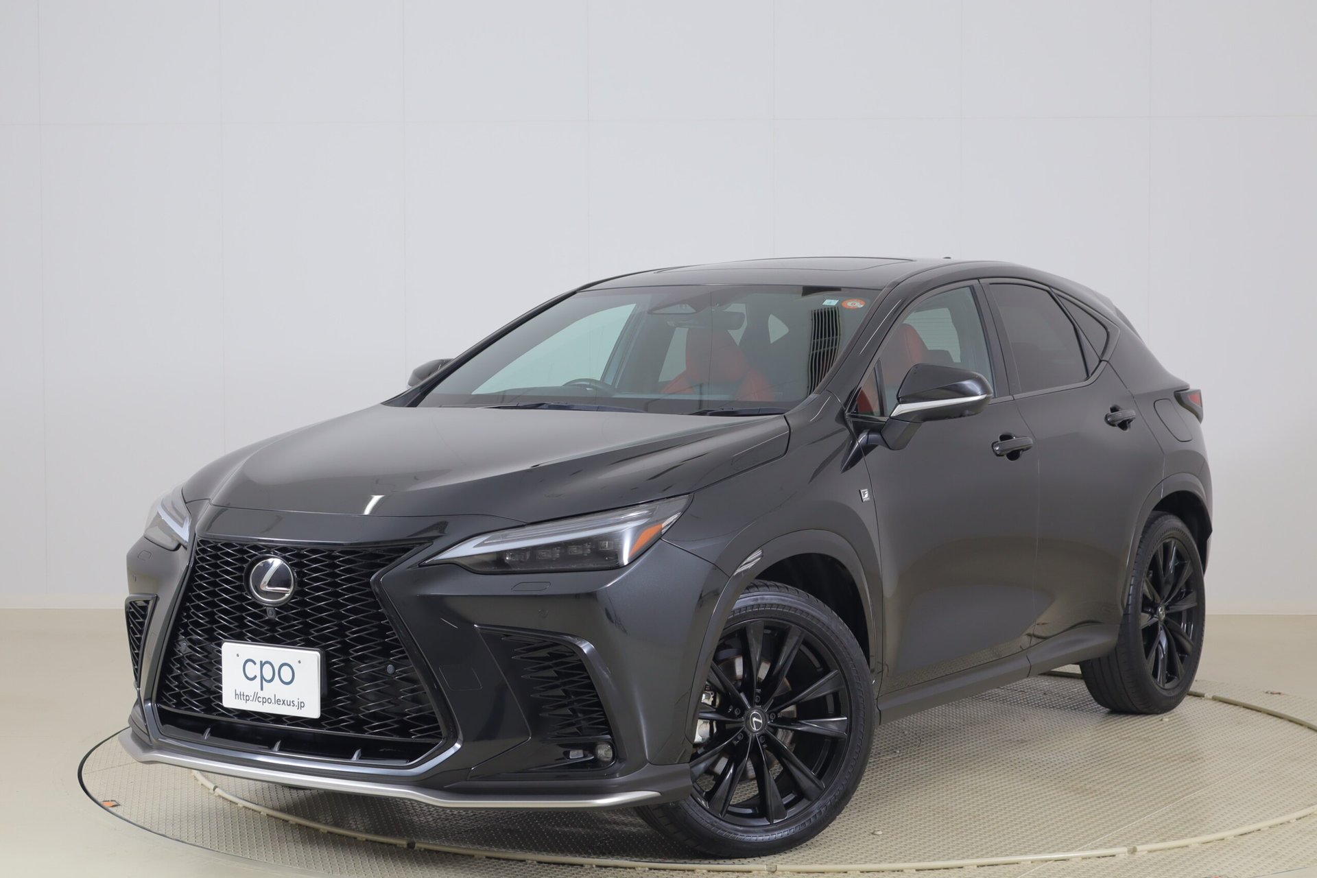 LEXUS NX - View 1