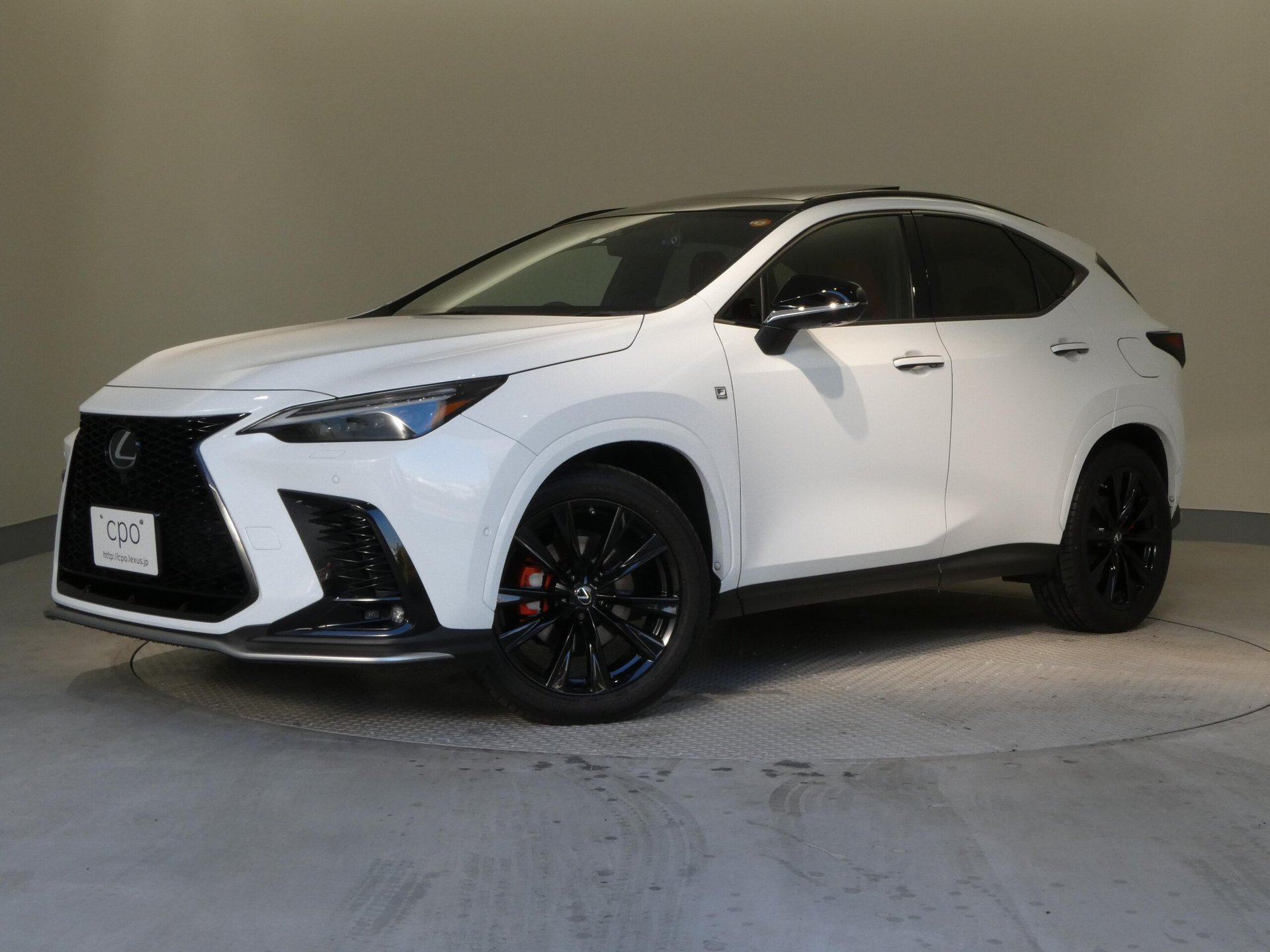 LEXUS NX - View 1