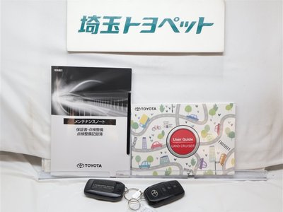2025 Toyota LAND CRUISER 250 — миниатюра 29