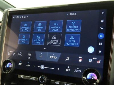 2025 Toyota ALPHARD photo 10