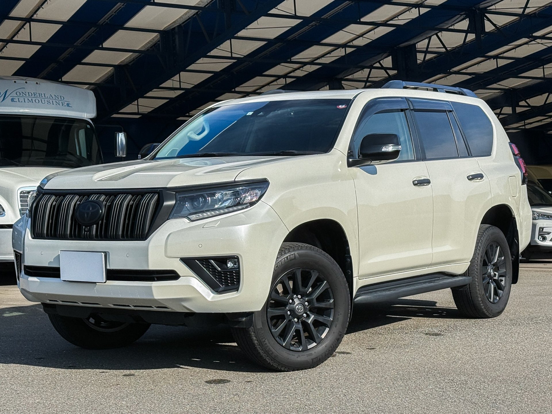 TOYOTA LAND CRUISER PRADO - View 1
