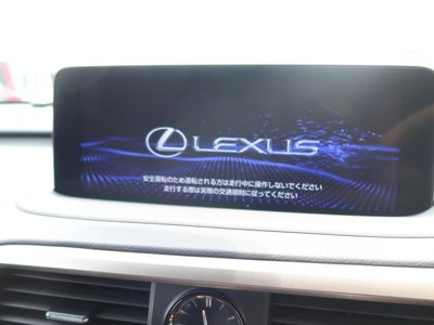 2020 Lexus RX 缩略图 38