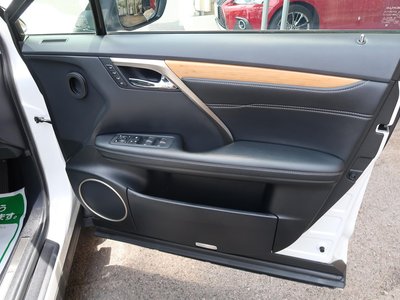 2020 Lexus RX 缩略图 63