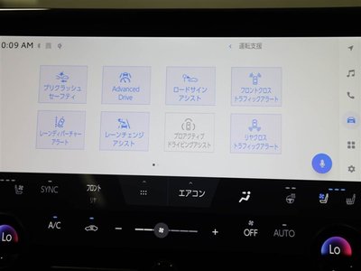 2023 Toyota ALPHARD 缩略图 28