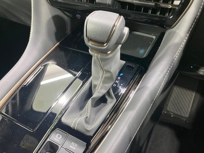 2025 Toyota ALPHARD — миниатюра 33