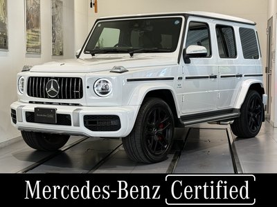 MERCEDES-BENZ G-CLASS AMG - 1
