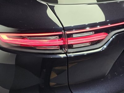 2020 Porsche CAYENNE 照片 10