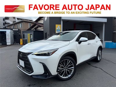 LEXUS NX - 1
