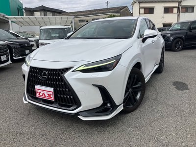 LEXUS NX - 1