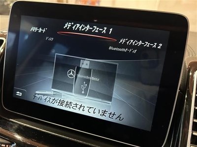 2017 Mercedes-BENZ OTHERS 缩略图 18