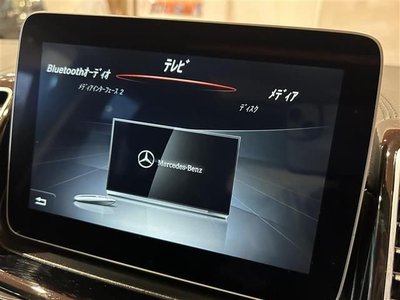 2017 Mercedes-BENZ OTHERS 缩略图 17