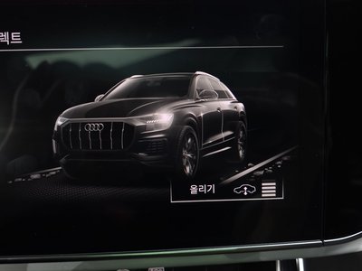 2022 AUDI Q8 缩略图 34