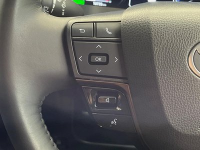 2025 TOYOTA ALPHARD 缩略图 57