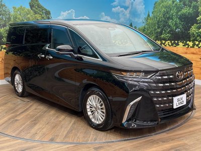 2025 TOYOTA ALPHARD 缩略图 18