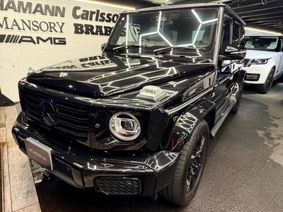2024 Mercedes-BENZ G-CLASS — миниатюра 13