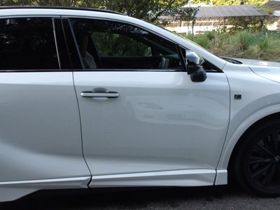 2025 Lexus RX — миниатюра 14