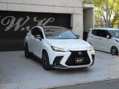 LEXUS NX - 4