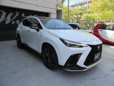 LEXUS NX - 6