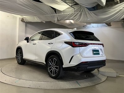 LEXUS NX - 6