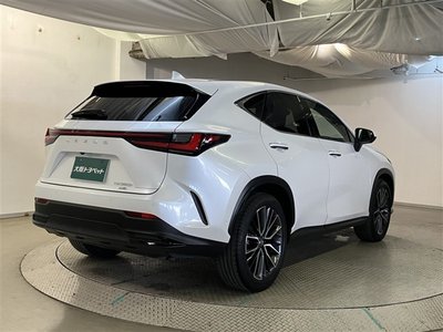 LEXUS NX - 8