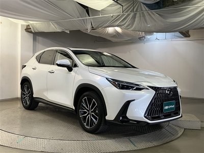 LEXUS NX - 3