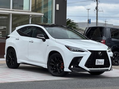 2024 Lexus NX — миниатюра 17