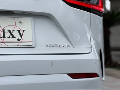 2024 Lexus NX — миниатюра 48