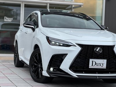 2024 Lexus NX — миниатюра 22