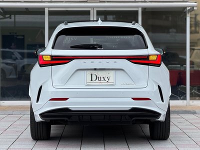 2024 Lexus NX — миниатюра 38