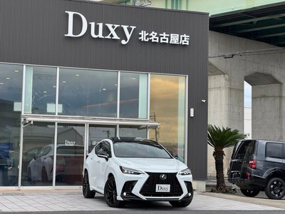 2024 Lexus NX — миниатюра 14