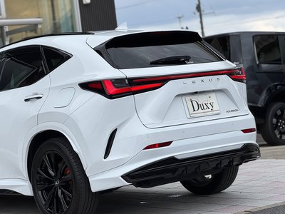 2024 Lexus NX — миниатюра 41