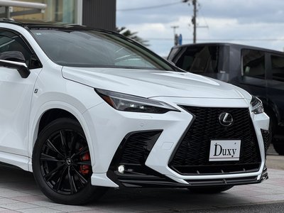 2024 Lexus NX — миниатюра 18