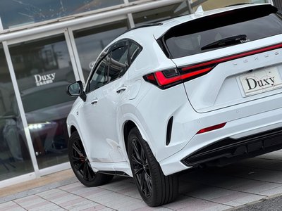 2024 Lexus NX — миниатюра 40