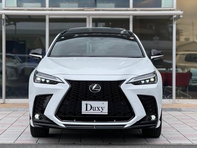 2024 Lexus NX — миниатюра 15