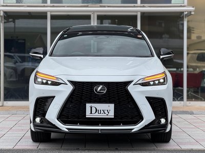 2024 Lexus NX — миниатюра 16