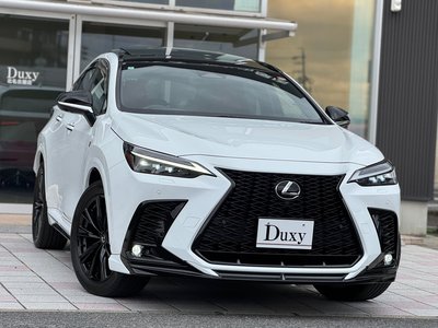 LEXUS NX - 6
