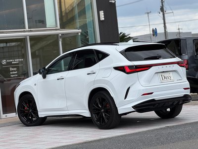2024 Lexus NX — миниатюра 39