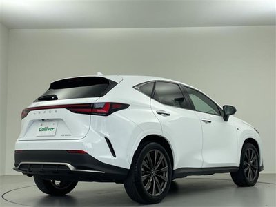 صورة مصغرة 19 لـ 2023 Lexus NX