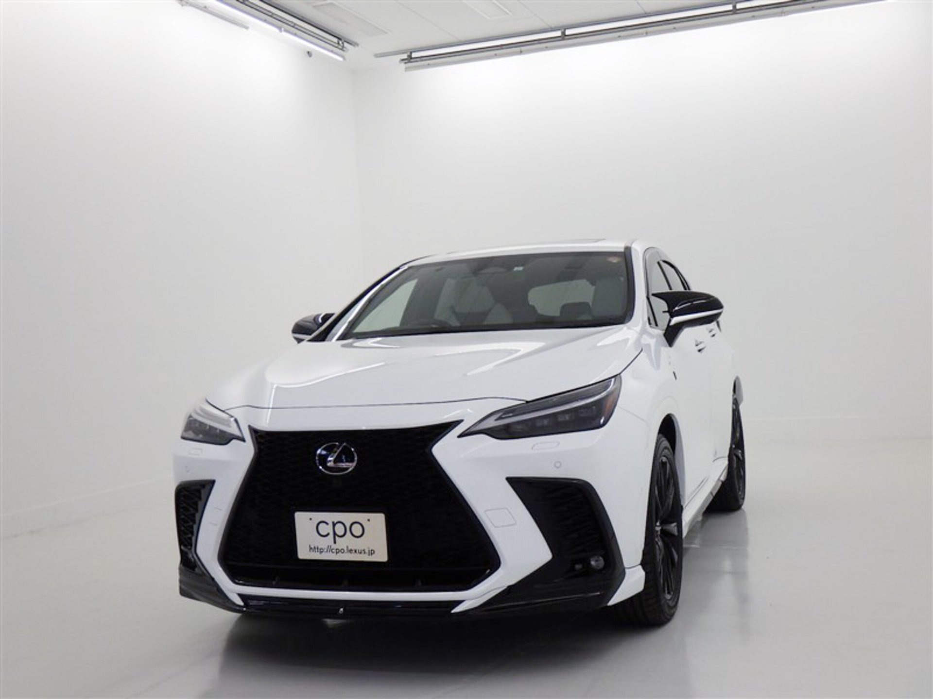 LEXUS NX - View 1