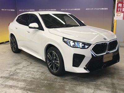 BMW X2 - 9