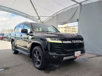 2022 Toyota LAND CRUISER 300 照片 8