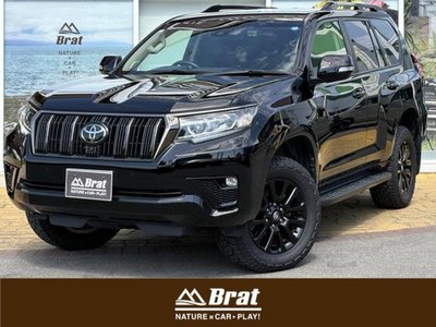 TOYOTA LAND CRUISER - 1