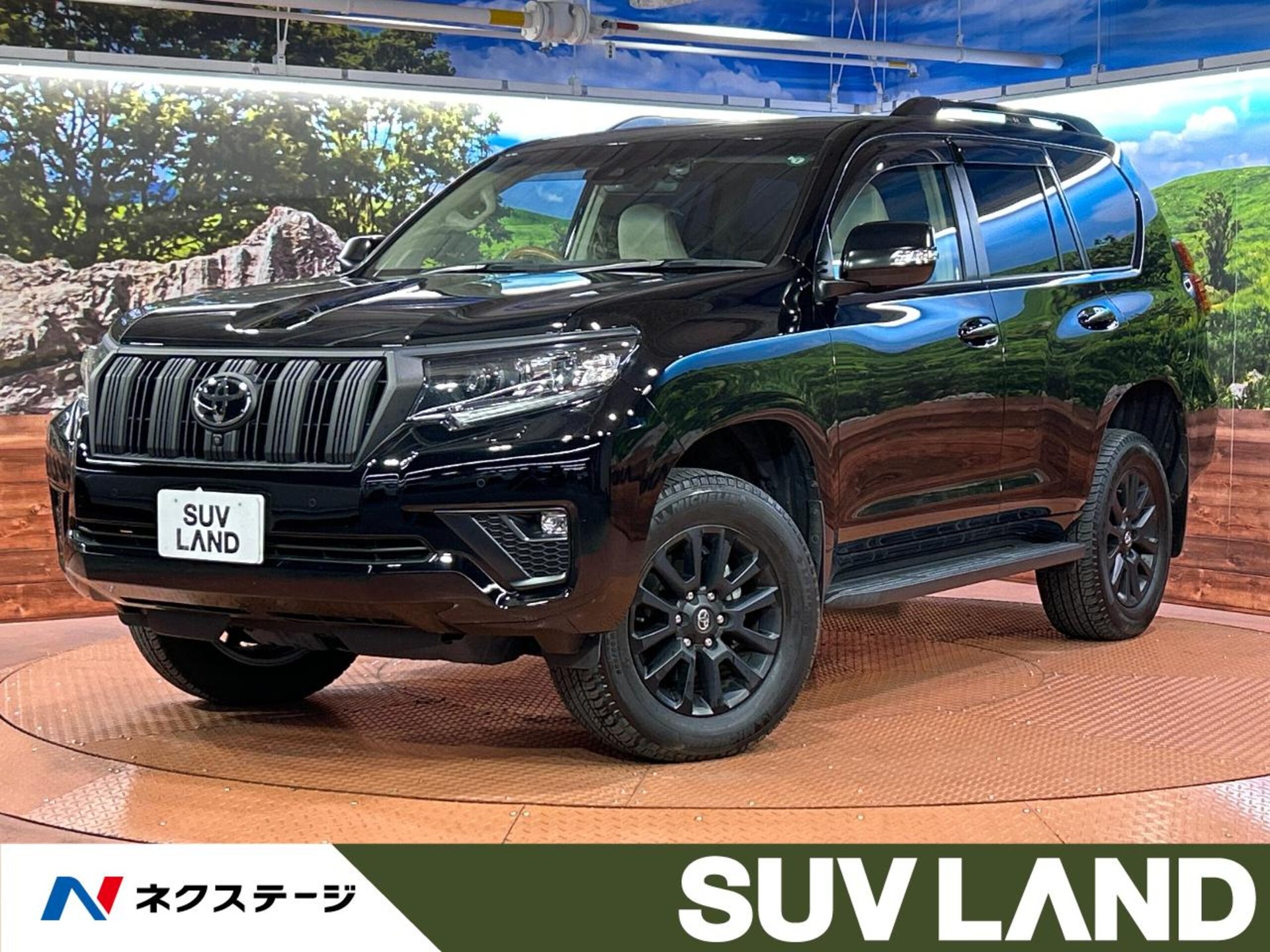 TOYOTA LAND CRUISER PRADO - View 1