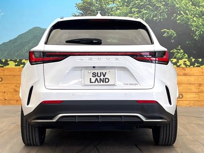 2024 Lexus NX — миниатюра 15