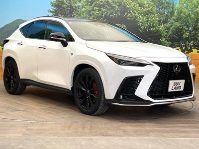 2024 Lexus NX — миниатюра 16
