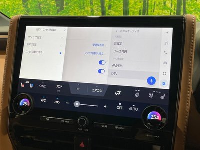 2024 Toyota VELLFIRE thumbnail 29