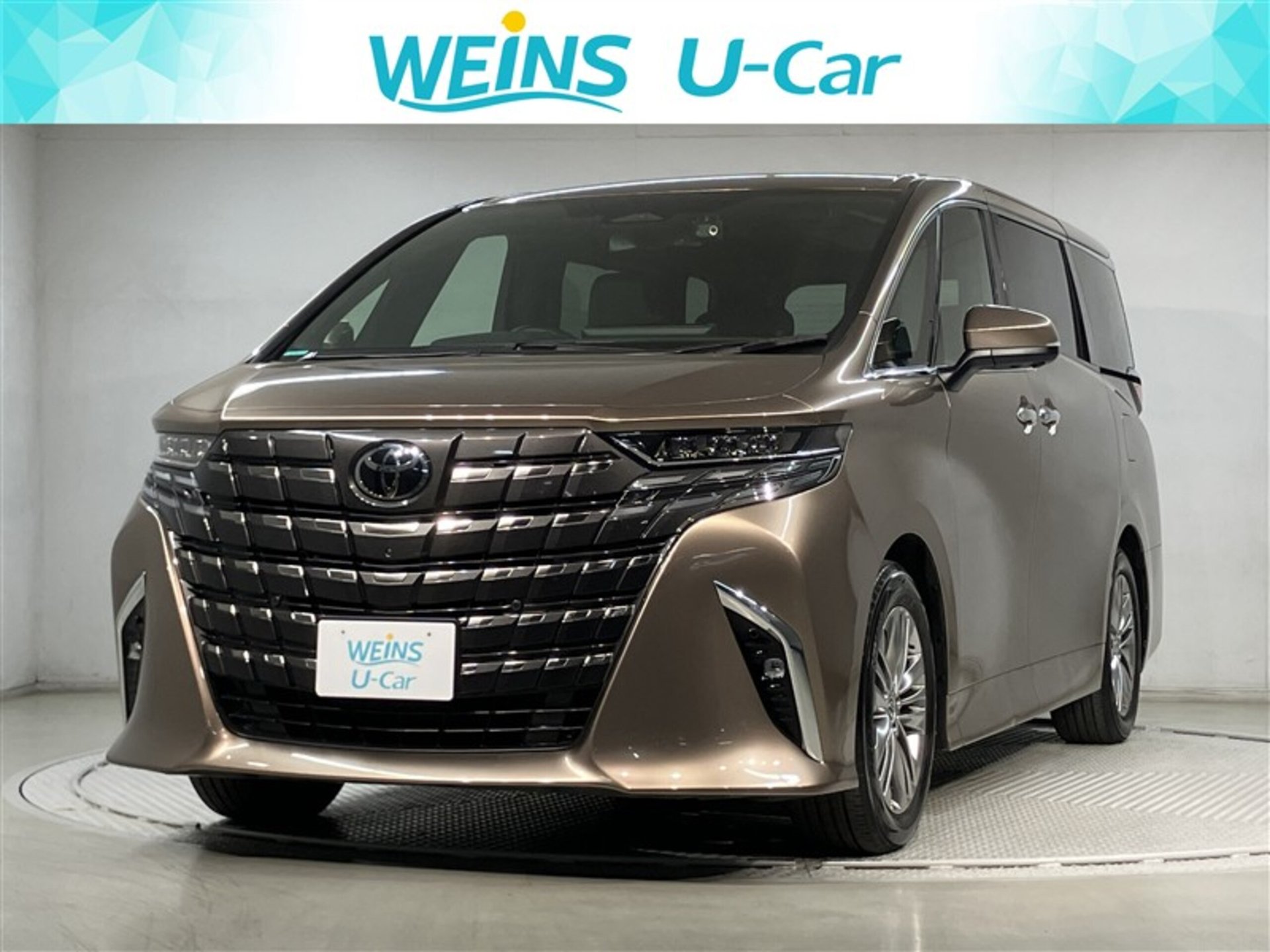 TOYOTA ALPHARD - View 1